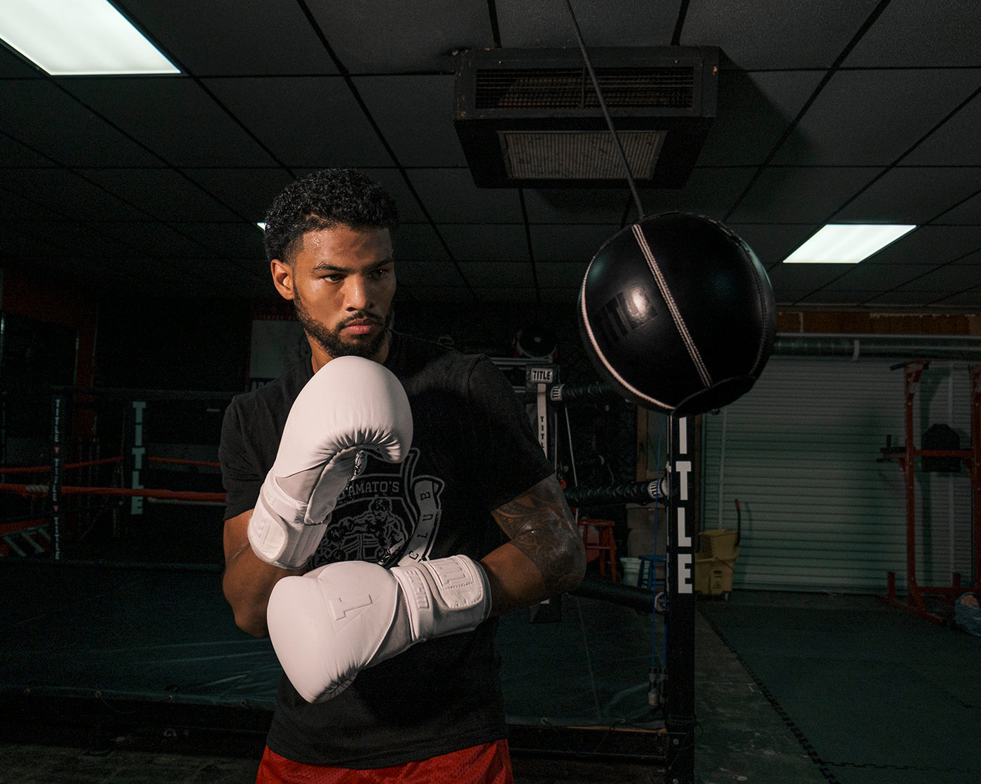 variant:lifestyle::TITLE Boxing Cannon ball Hanging Bag