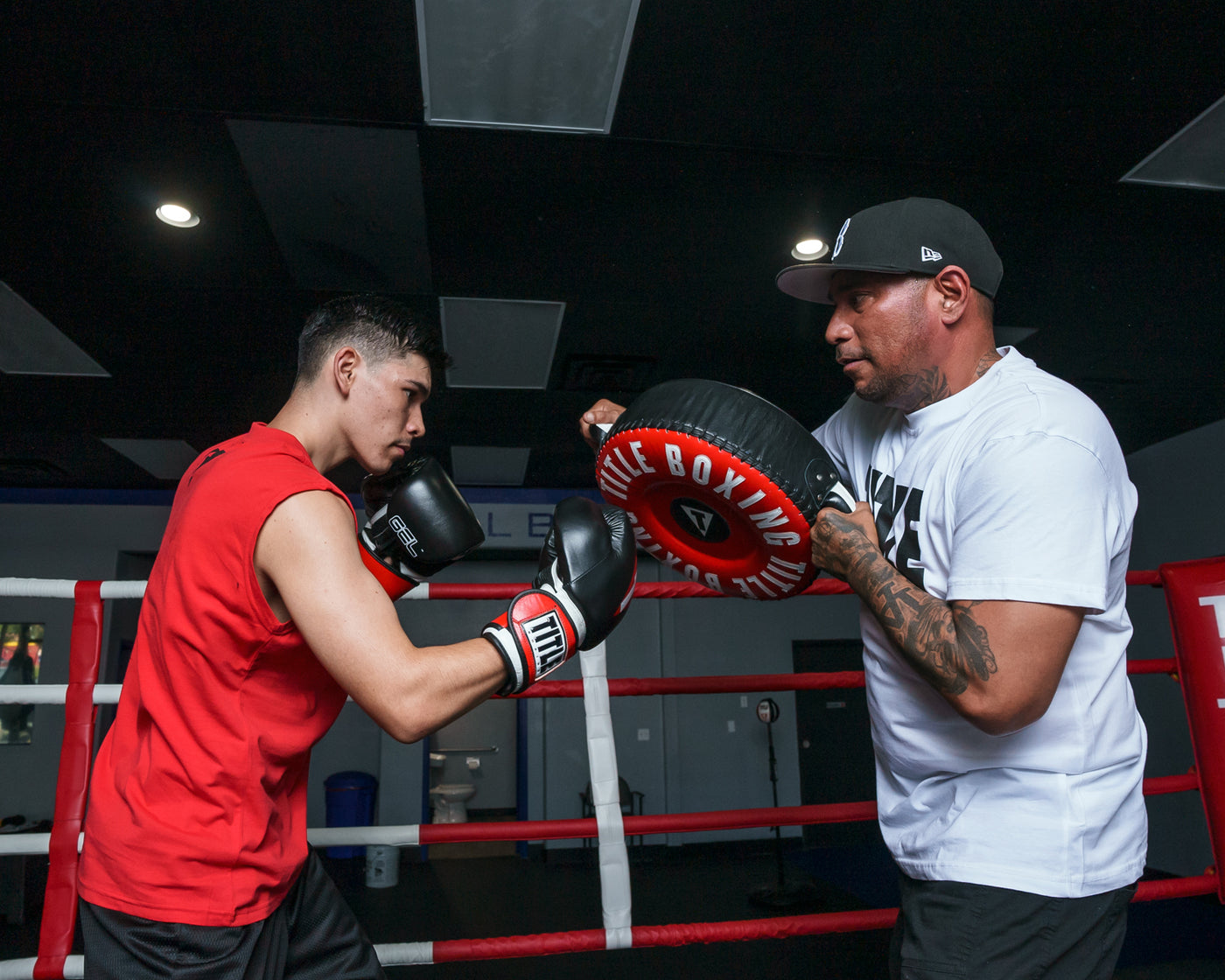 TITLE Boxing Combination Punch Shield