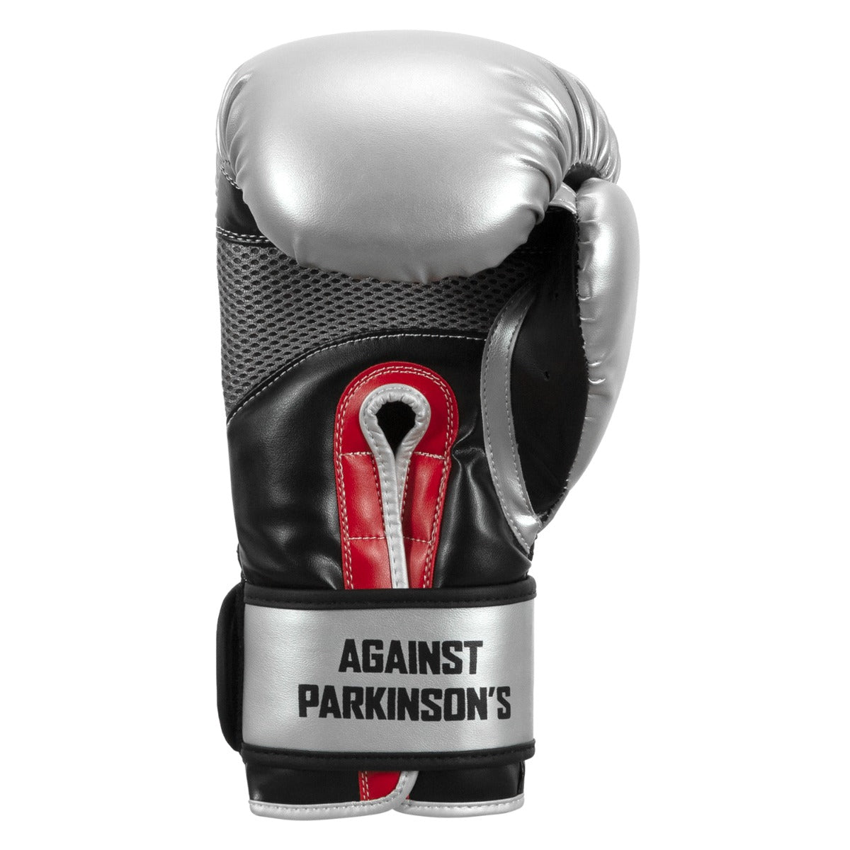 variant:lifestyle::TITLE Boxing Fight Back Boxing Gloves back view