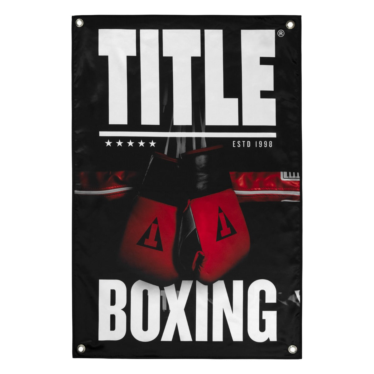 variant:lifestyle::TITLE Boxing Pro Fight Banner