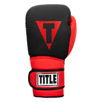 variant:lifestyle::TITLE Boxing Guts and Glory Bag Gloves back view