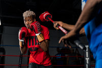 variant:lifestyle::TITLE Boxing Gladiator Stick in a boxing ring for training