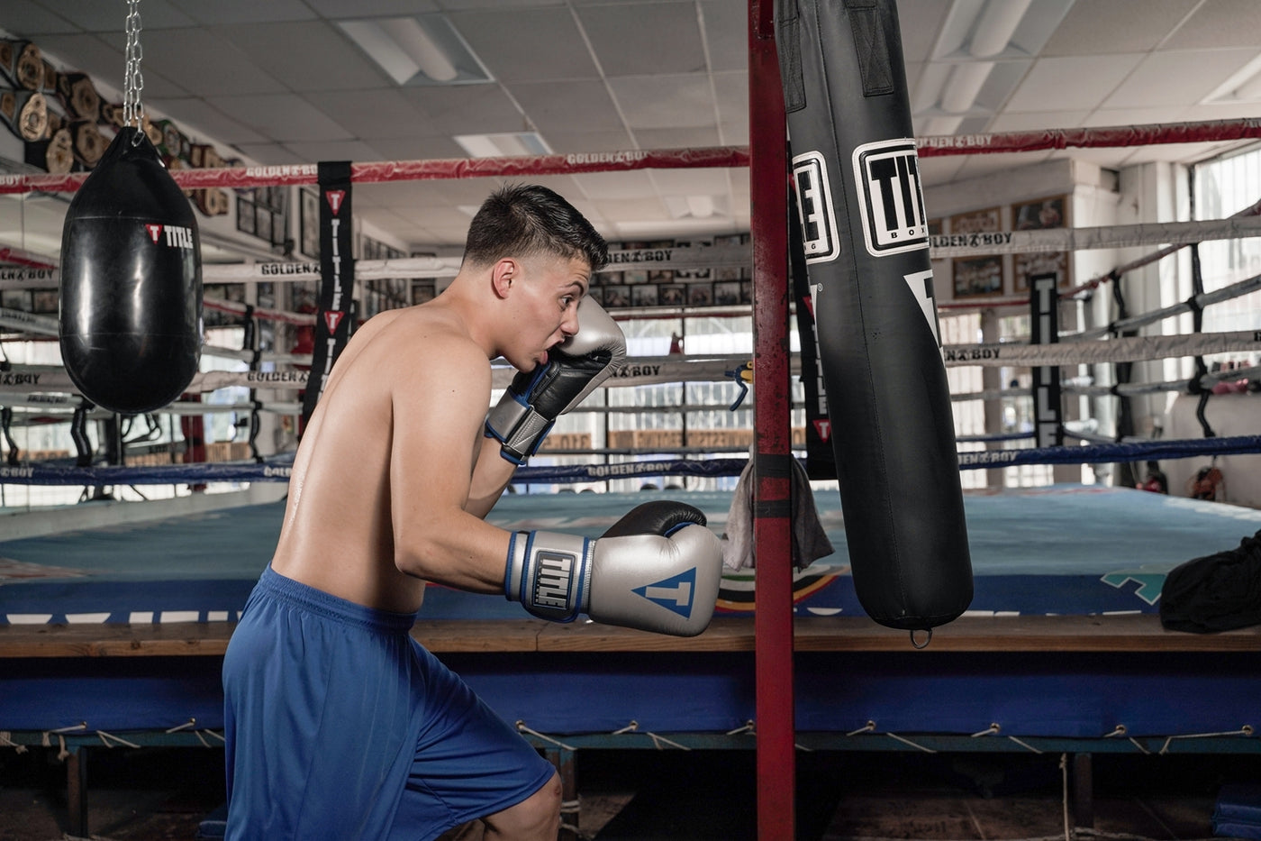 variant:lifestyle::TITLE Boxing Headhunter Bag
