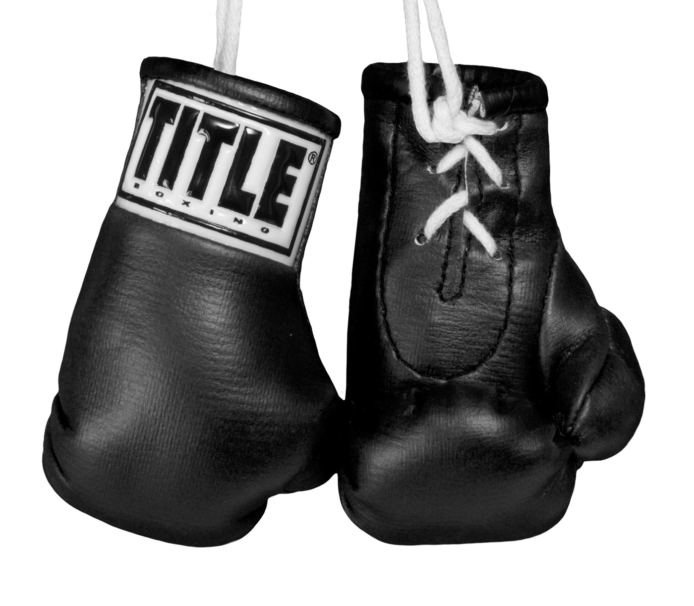 color:black::TITLE Boxing 3.5” Mini Boxing Gloves main view