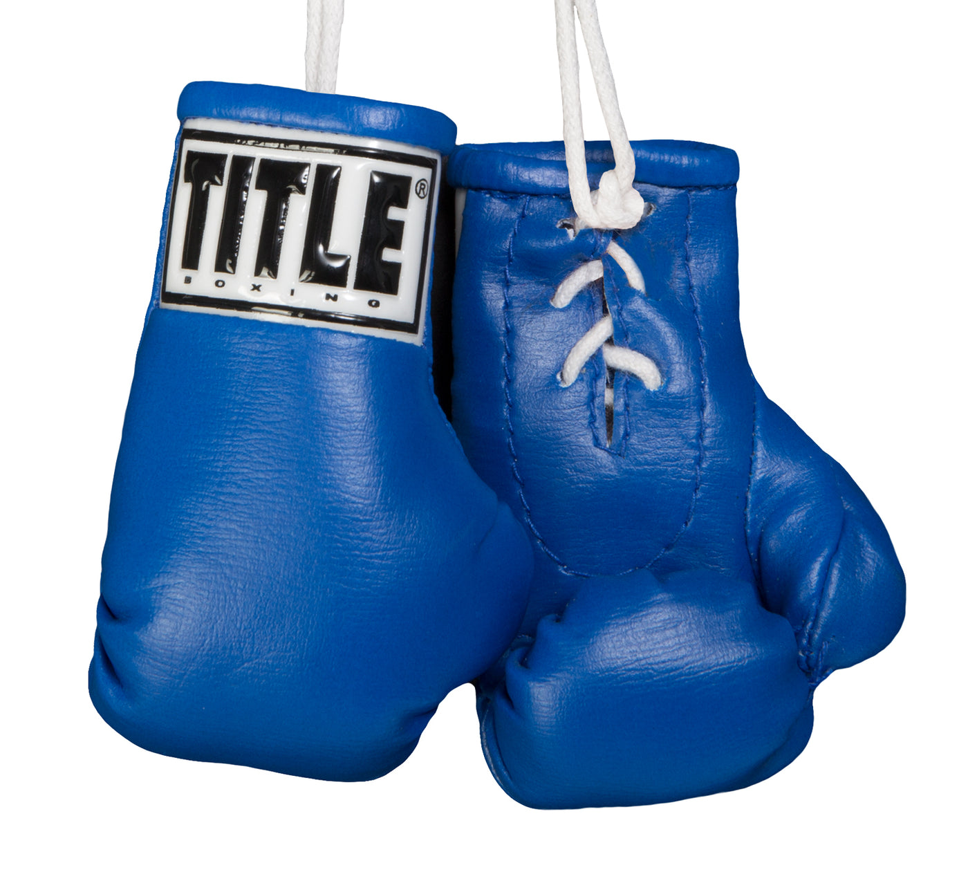 color:blue::TITLE Boxing 3.5” Mini Boxing Gloves main view