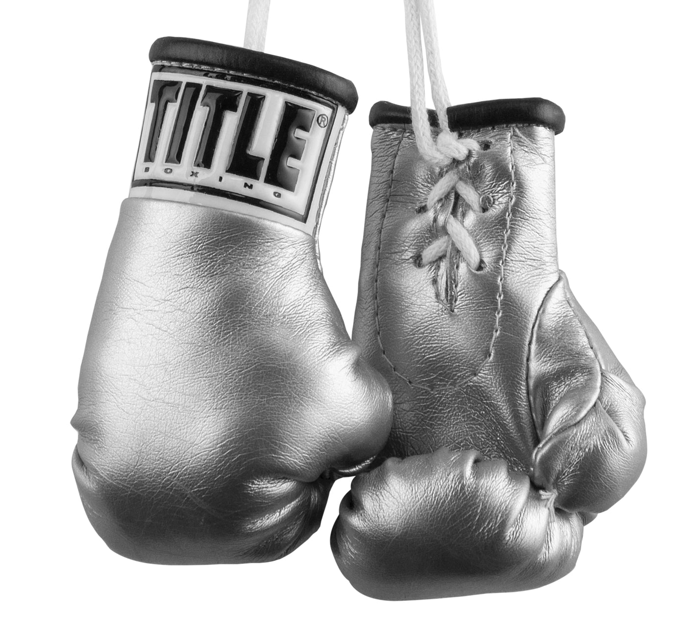 color:silver::TITLE Boxing 3.5” Mini Boxing Gloves main view