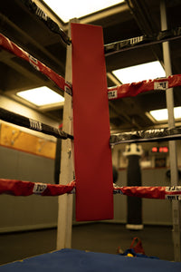 variant:red::TITLE Boxing Blank Pro Corner Cushion V3.0 Single