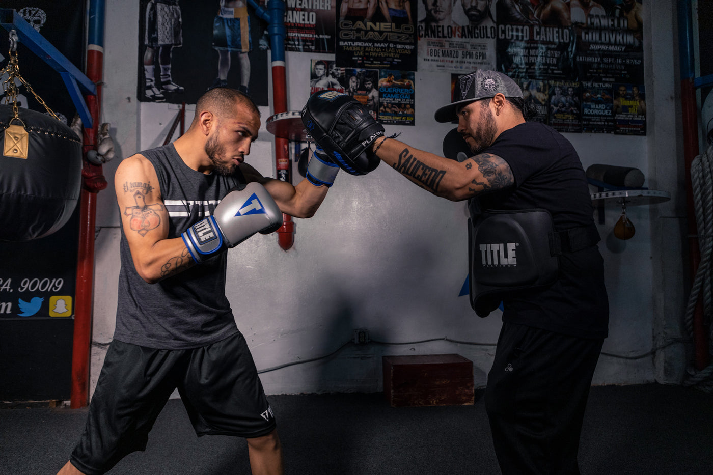 variant:lifestyle::TITLE Platinum Prolific Body Protector mitts