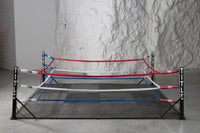 variant:lifestyle::TITLE Boxing Competition Ring Padding (Single) full ring view