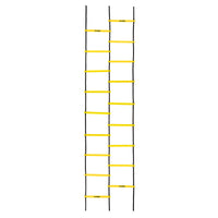 variant:lifestyle::TITLE Boxing Double Speed & Agility Ladder 2.0
