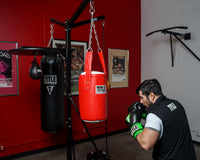 variant:lifestyle::punching little bag