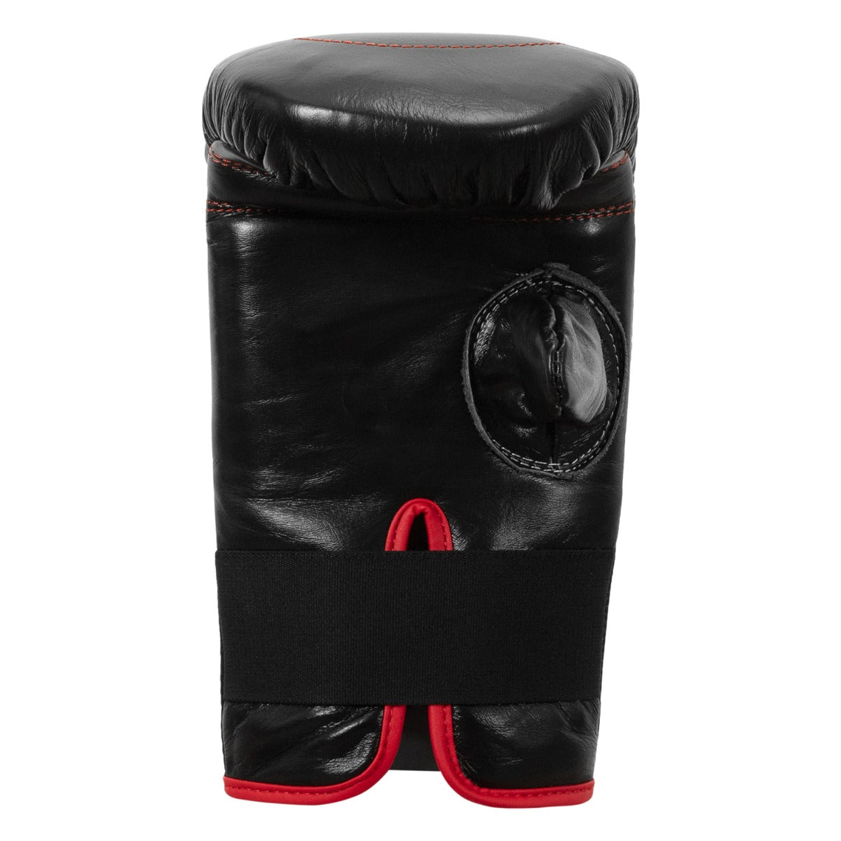 variant:lifestyle::TITLE Boxing Professional Old School Leather Bag Gloves 3.0 back view