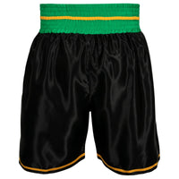 variant:Black/Green::WBC by TITLE Boxing Professional Boxing Trunks back view