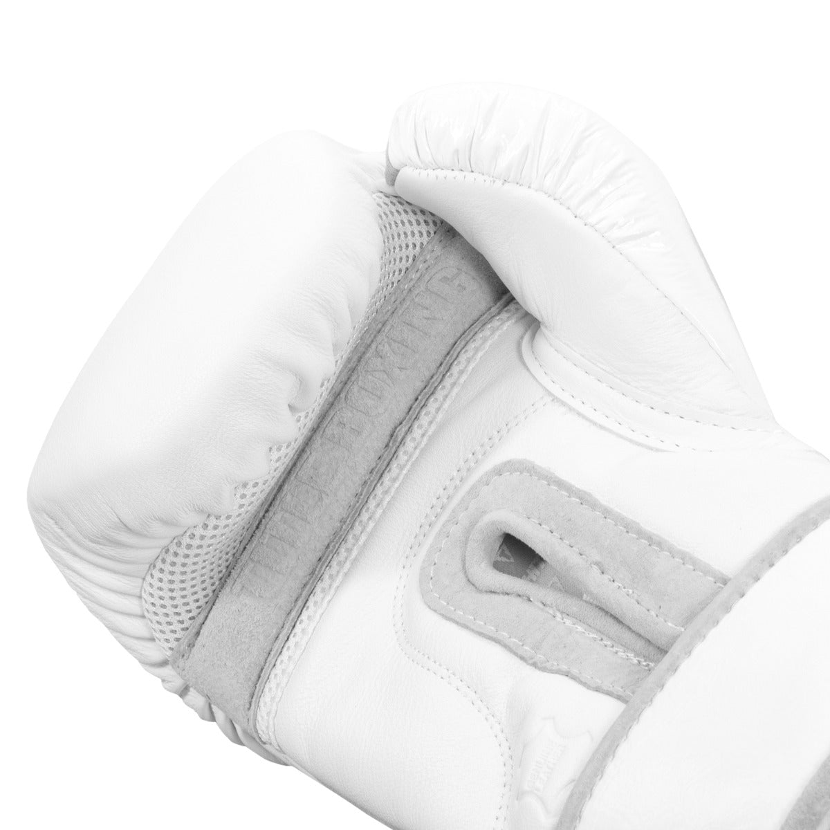 variant:lifestyle::TITLE White Boxing Training Gloves 2.0  hand view