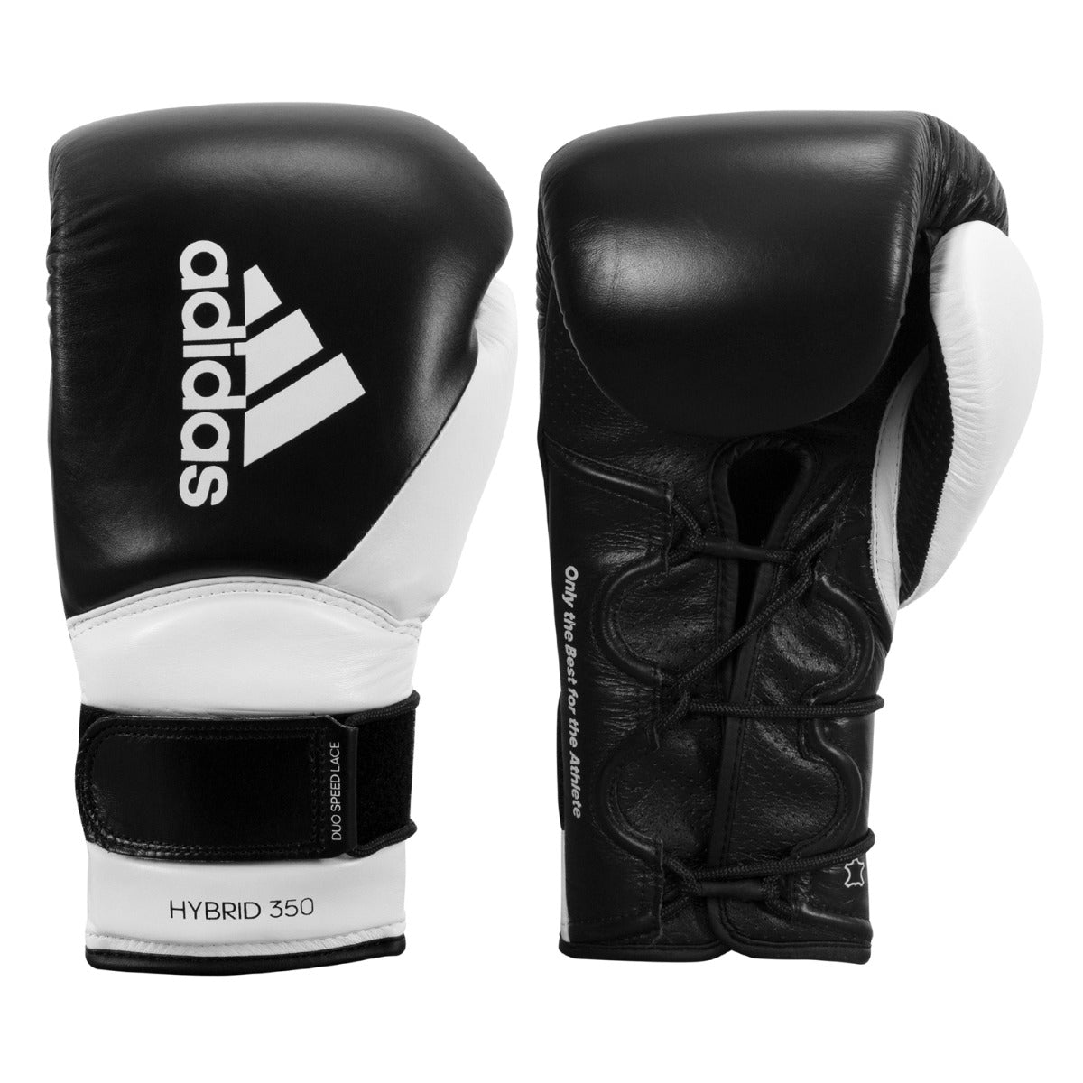 Portret Landelijk hybride ADIDAS Hybrid 350 Elite Training Gloves | TITLE Boxing Gear